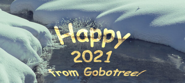 Happy New 2021 from the Gobokeepers!