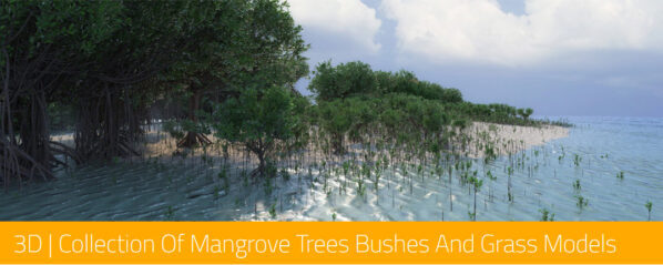 3D | Collection Of Mangrove Trees Bushes And Grass Models